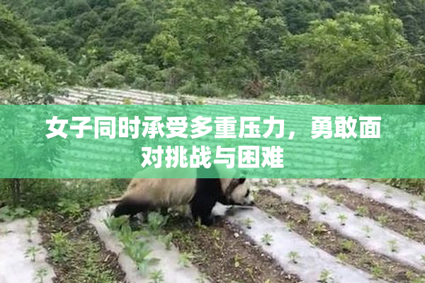 女子同时承受多重压力，勇敢面对挑战与困难