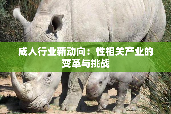 成人行业新动向：性相关产业的变革与挑战