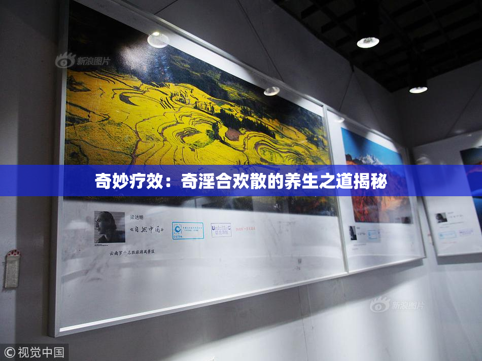 奇妙疗效：奇淫合欢散的养生之道揭秘