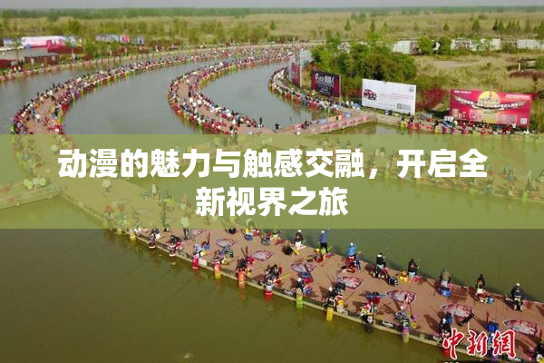 动漫的魅力与触感交融，开启全新视界之旅