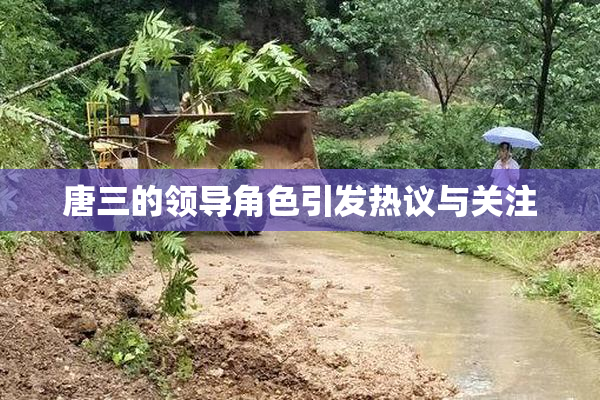 唐三的领导角色引发热议与关注