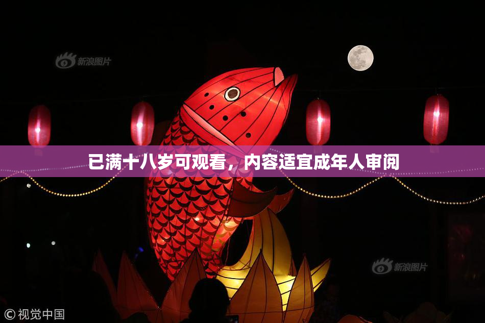 已满十八岁可观看，内容适宜成年人审阅