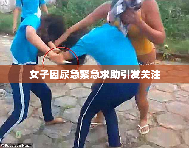 女子因尿急紧急求助引发关注