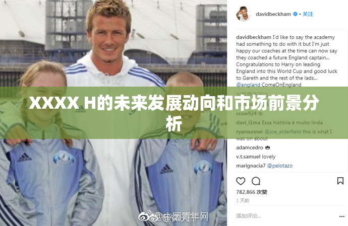 XXXX H的未来发展动向和市场前景分析