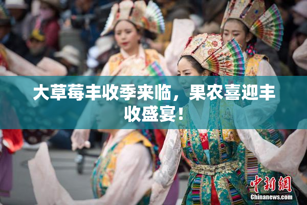 大草莓丰收季来临，果农喜迎丰收盛宴！