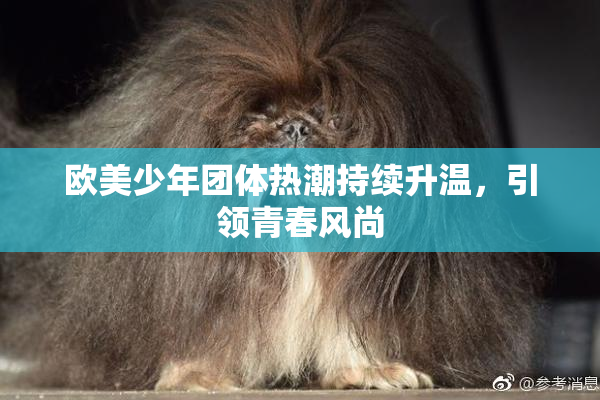 欧美少年团体热潮持续升温，引领青春风尚