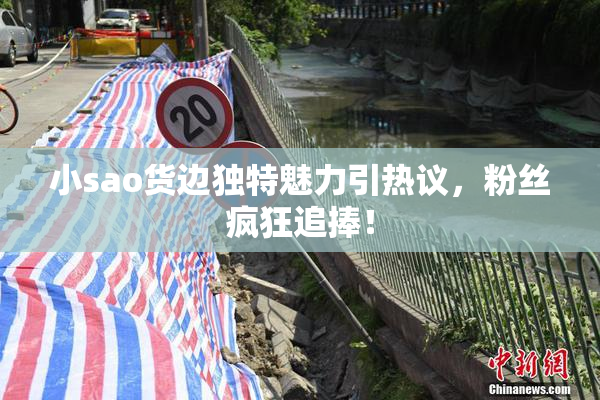 小sao货边独特魅力引热议，粉丝疯狂追捧！