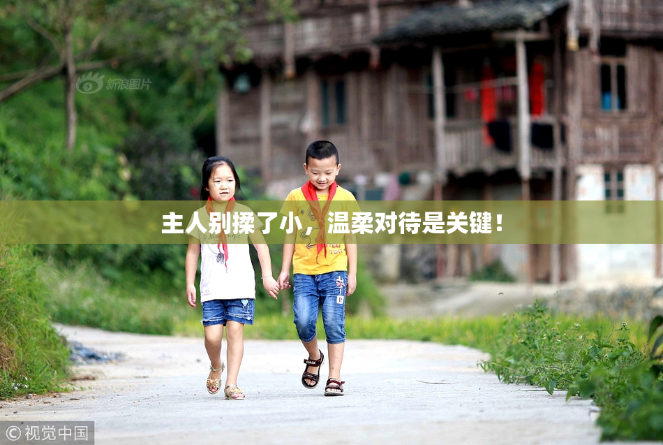 主人别揉了小，温柔对待是关键！