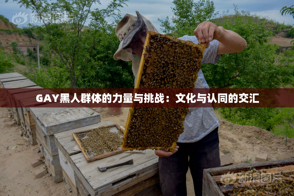 GAY黑人群体的力量与挑战：文化与认同的交汇