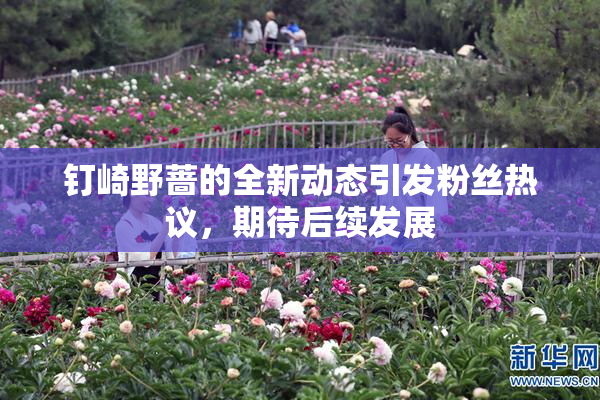 钉崎野蔷的全新动态引发粉丝热议，期待后续发展