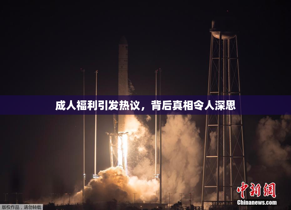 成人福利引发热议，背后真相令人深思