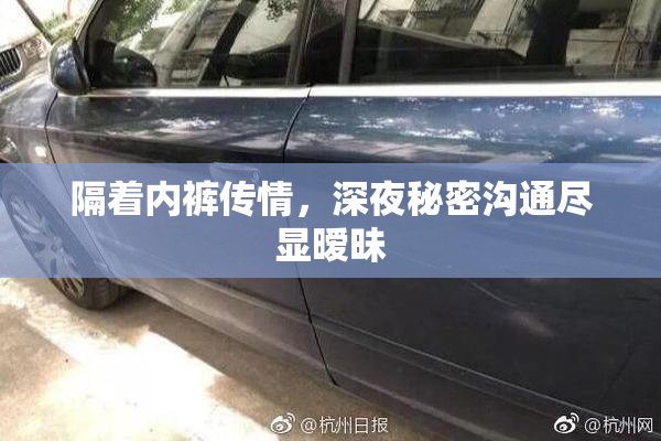 隔着内裤传情，深夜秘密沟通尽显暧昧
