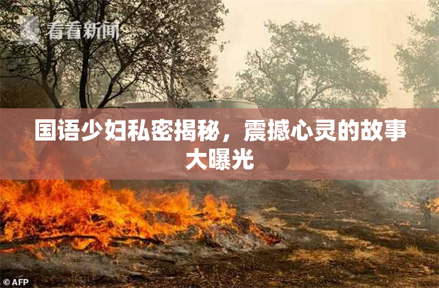 国语少妇私密揭秘，震撼心灵的故事大曝光