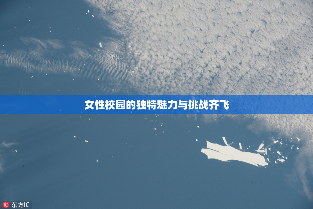 女性校园的独特魅力与挑战齐飞