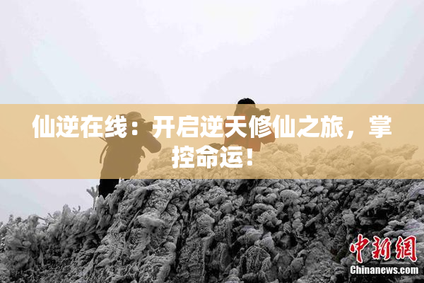 仙逆在线：开启逆天修仙之旅，掌控命运！