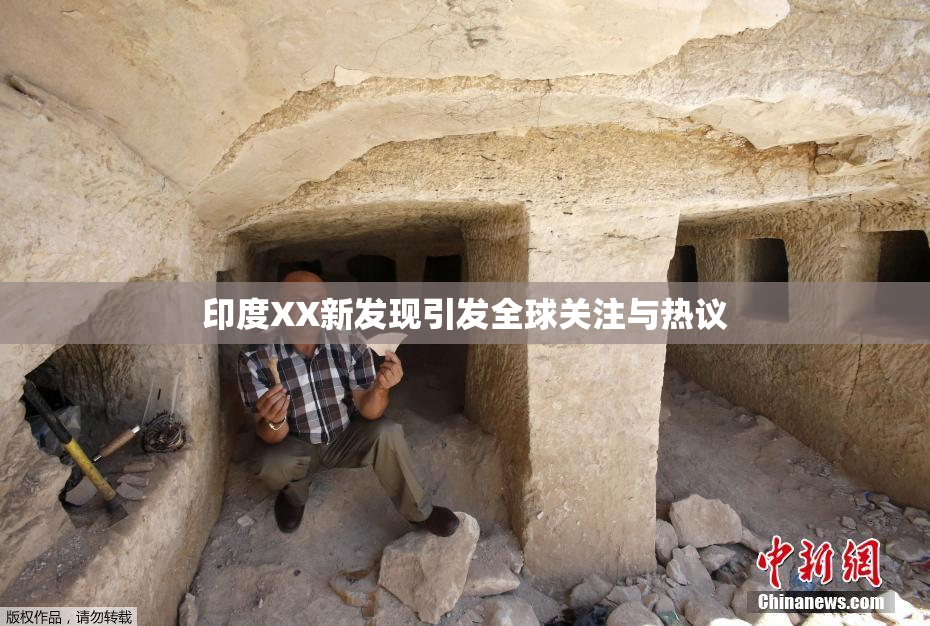 印度XX新发现引发全球关注与热议