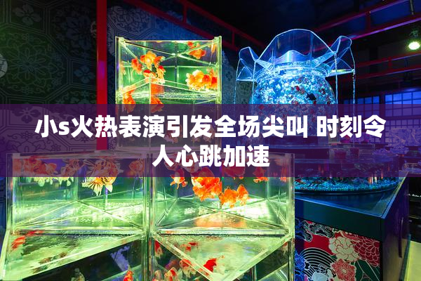 小s火热表演引发全场尖叫 时刻令人心跳加速