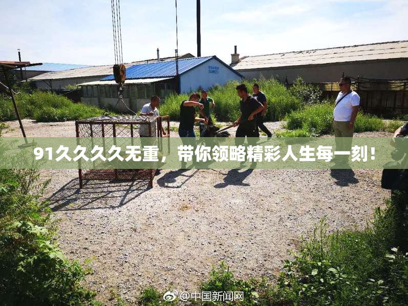 91久久久久无重，带你领略精彩人生每一刻！