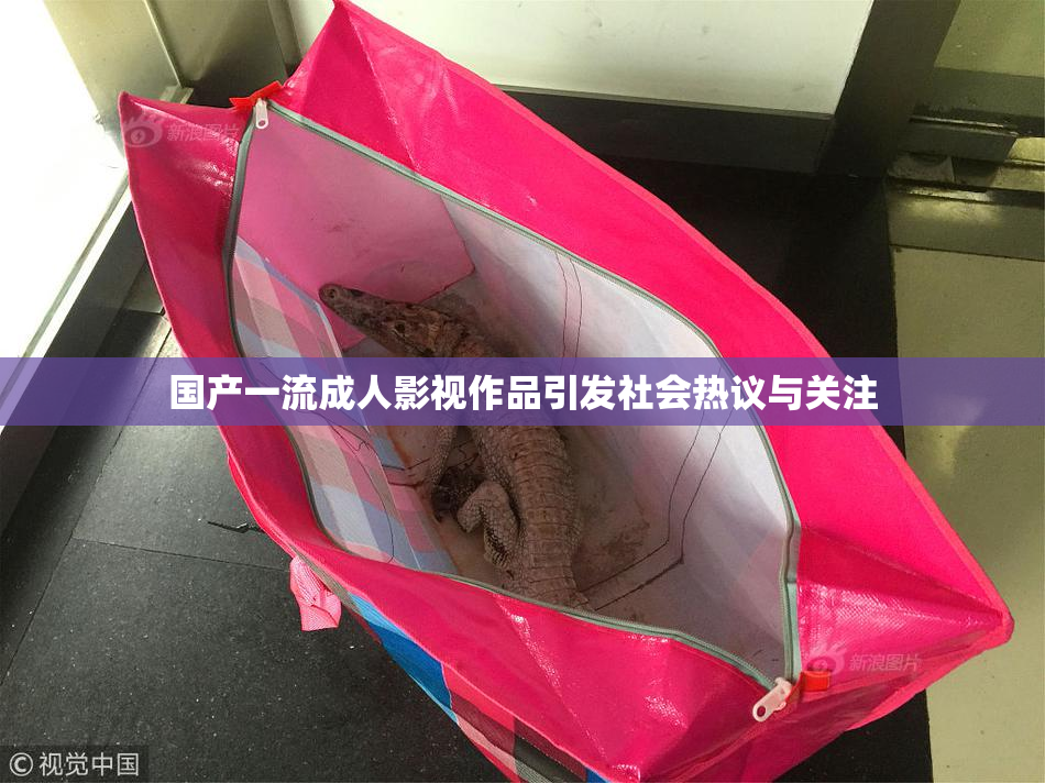 国产一流成人影视作品引发社会热议与关注