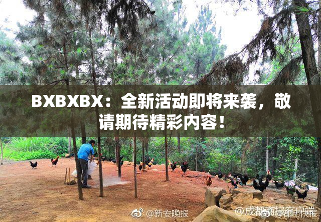 BXBXBX：全新活动即将来袭，敬请期待精彩内容！
