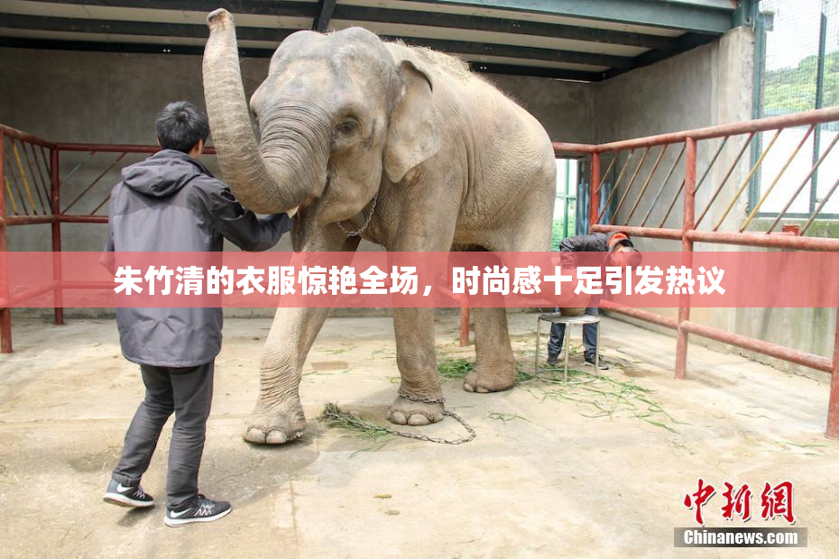 朱竹清的衣服惊艳全场，时尚感十足引发热议