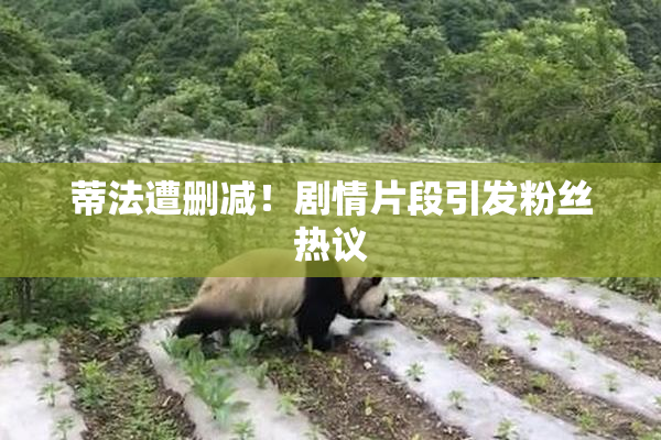 蒂法遭删减！剧情片段引发粉丝热议