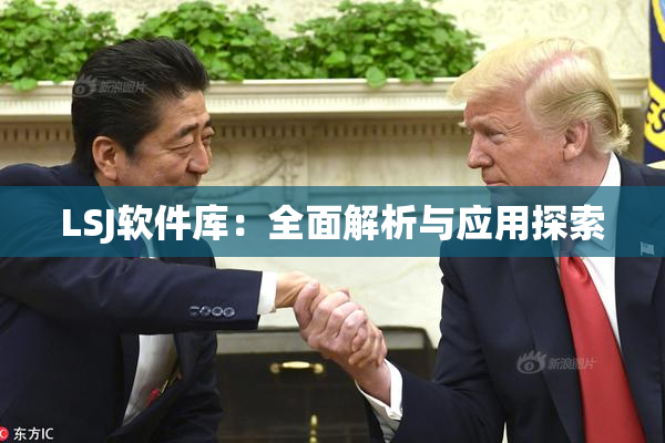 LSJ软件库：全面解析与应用探索