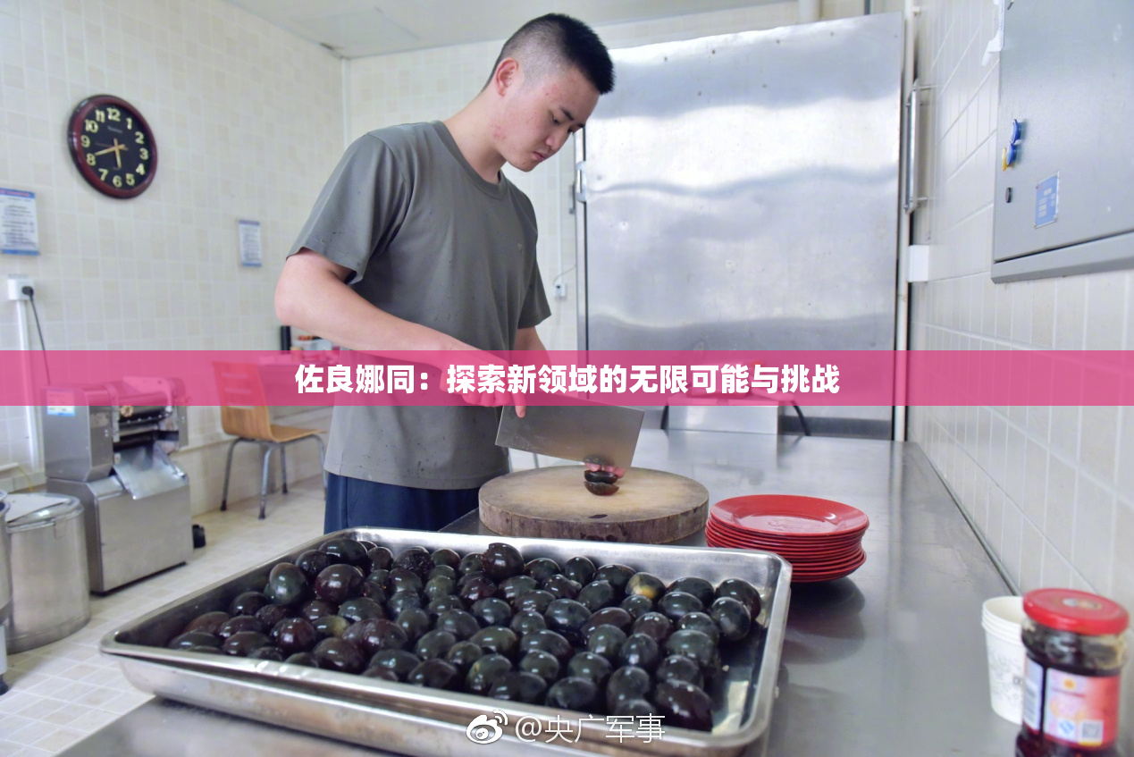 佐良娜同：探索新领域的无限可能与挑战