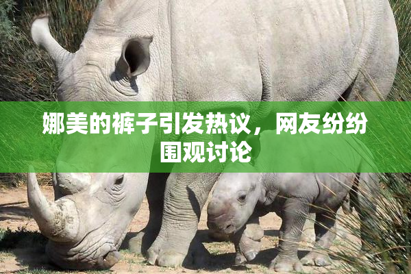 娜美的裤子引发热议，网友纷纷围观讨论