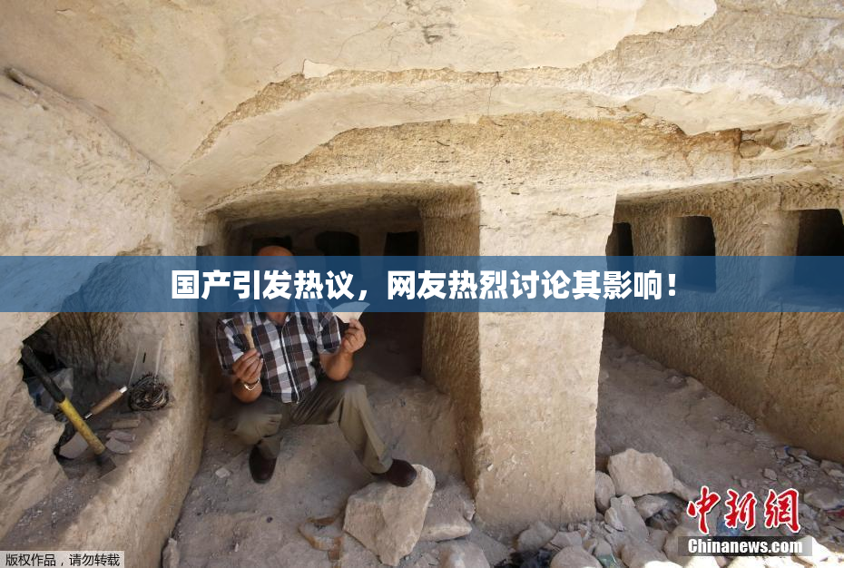 国产引发热议，网友热烈讨论其影响！