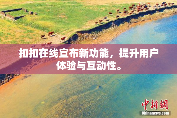 扣扣在线宣布新功能，提升用户体验与互动性。