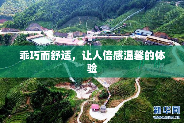 乖巧而舒适，让人倍感温馨的体验
