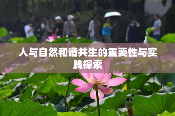 人与自然和谐共生的重要性与实践探索