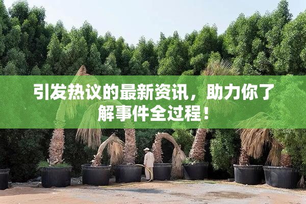 引发热议的最新资讯，助力你了解事件全过程！
