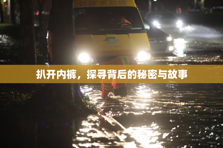 扒开内裤，探寻背后的秘密与故事