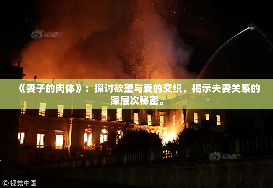 《妻子的肉体》：探讨欲望与爱的交织，揭示夫妻关系的深层次秘密。