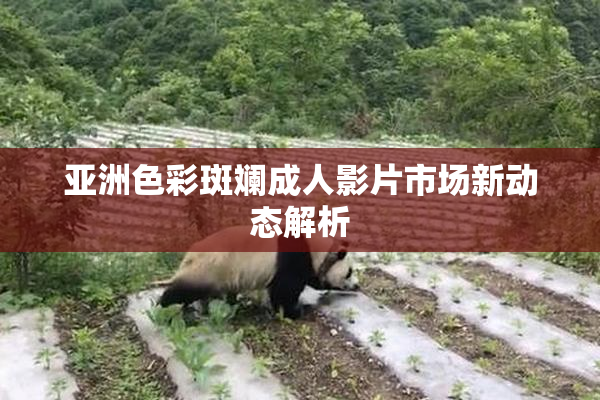 亚洲色彩斑斓成人影片市场新动态解析