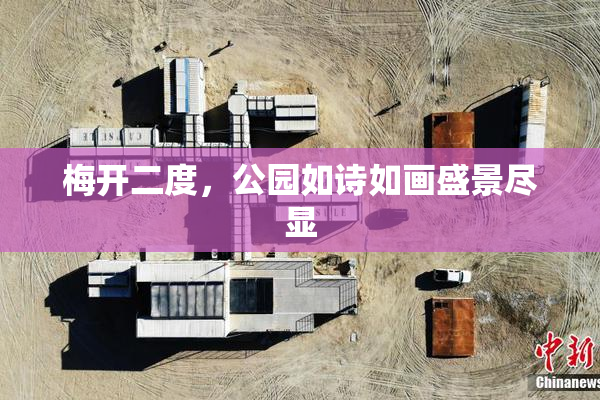 梅开二度，公园如诗如画盛景尽显