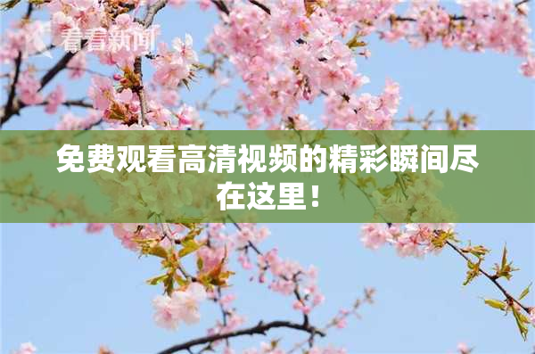 免费观看高清视频的精彩瞬间尽在这里！