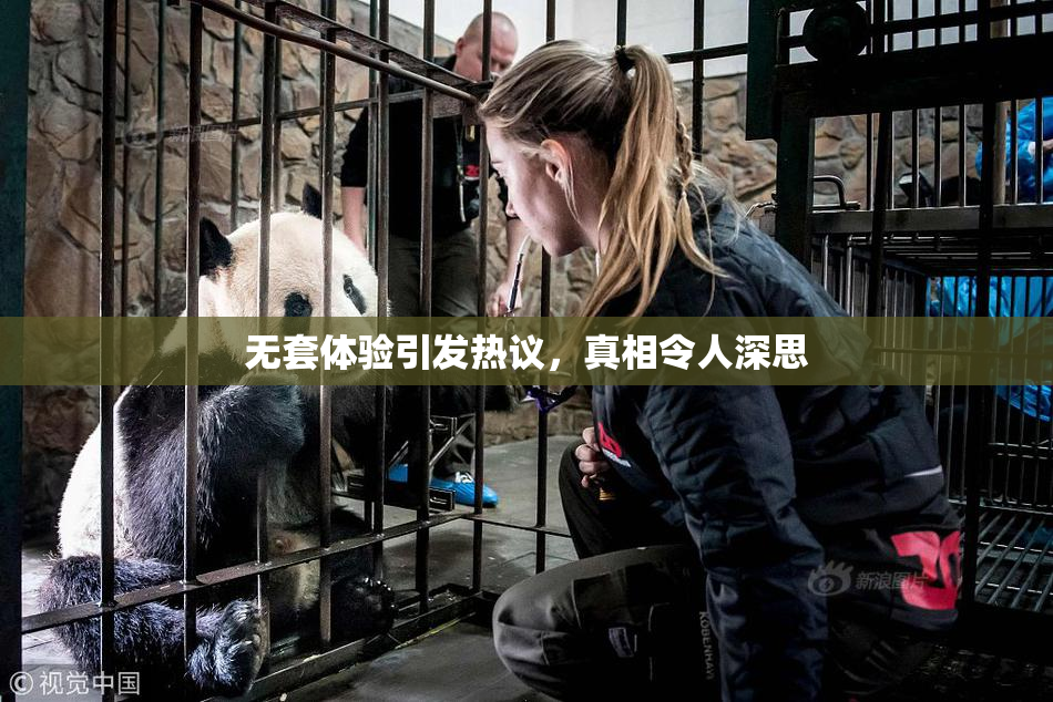 无套体验引发热议，真相令人深思