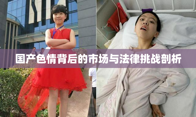 国产色情背后的市场与法律挑战剖析