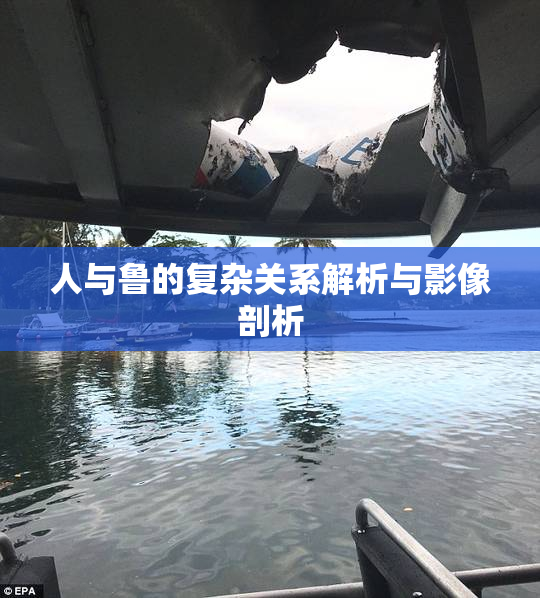 人与鲁的复杂关系解析与影像剖析
