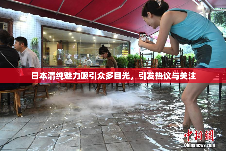 日本清纯魅力吸引众多目光，引发热议与关注
