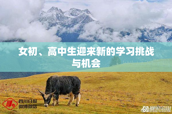女初、高中生迎来新的学习挑战与机会