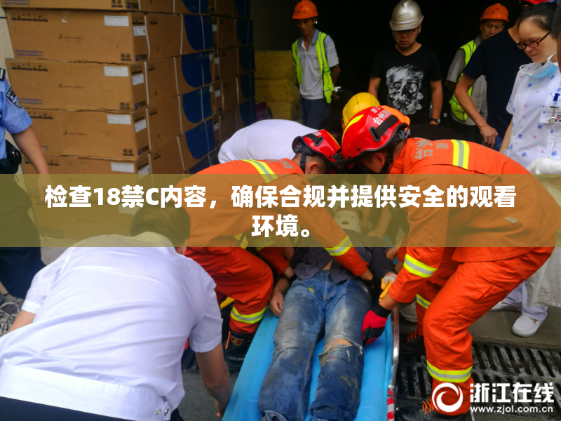 检查18禁C内容，确保合规并提供安全的观看环境。
