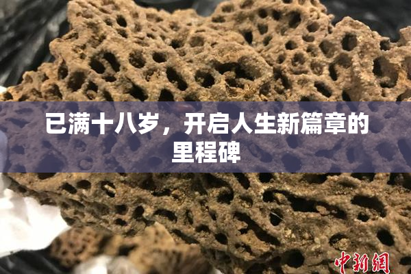 已满十八岁，开启人生新篇章的里程碑