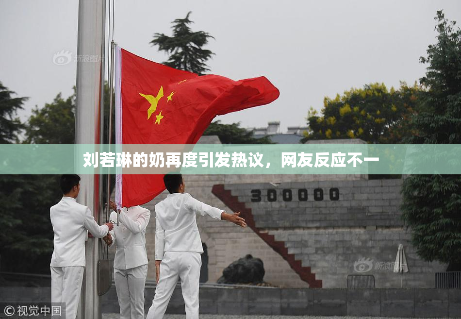 刘若琳的奶再度引发热议，网友反应不一