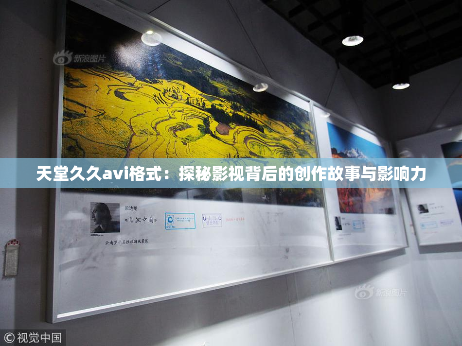 天堂久久avi格式：探秘影视背后的创作故事与影响力