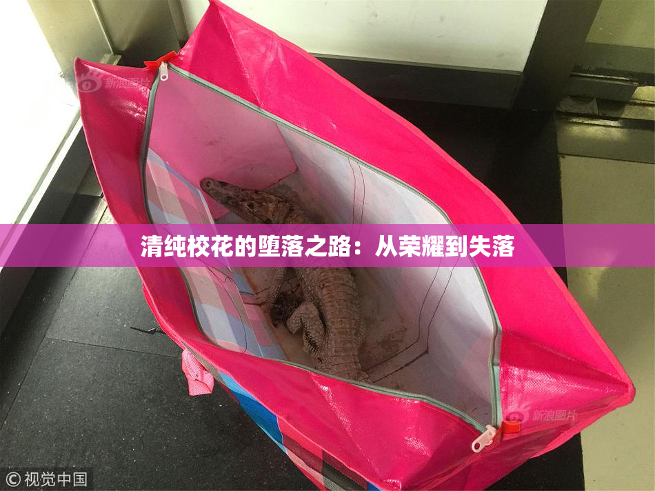清纯校花的堕落之路：从荣耀到失落