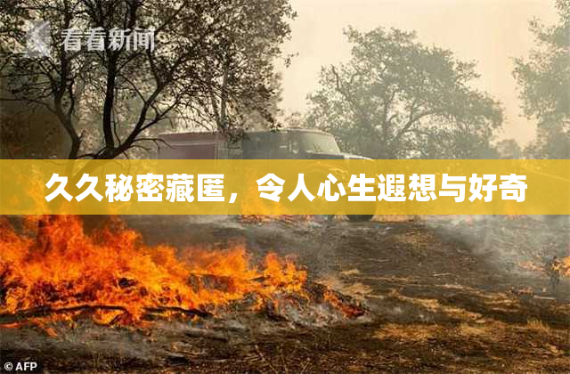 久久秘密藏匿，令人心生遐想与好奇
